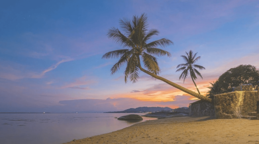 Lamai beachfront resort pool at sunset with swaying palm trees, Three Trees Samui Resort, Thailand.